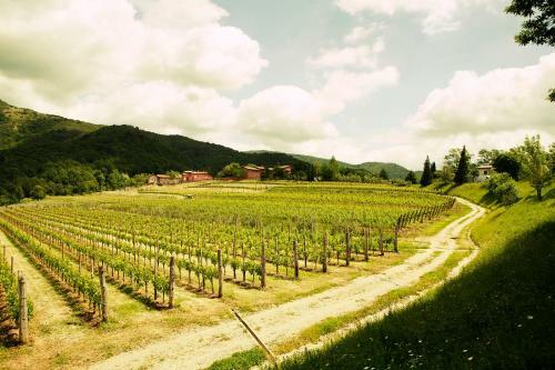 Agroturismo Agriturismo L'uva E Le Stelle