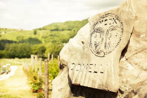 Agroturismo Agriturismo L'uva E Le Stelle