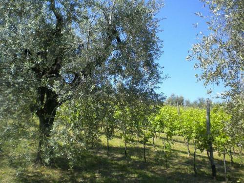 Agroturismo Bello Stare Charming Retreats