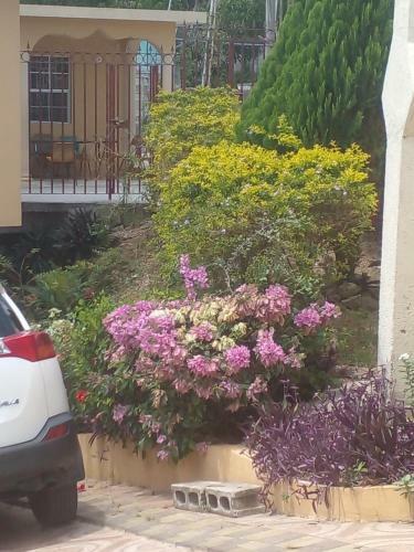 Hostal Happy And Comfortable Home