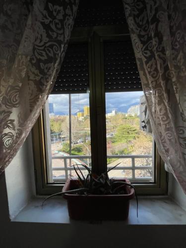 Sunny Apartment, Lovely Terrace.