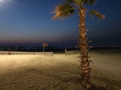 Vile 100 M Nga Deti/pine Beach Villa