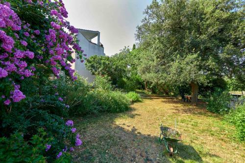 Apartments Banjole Garden