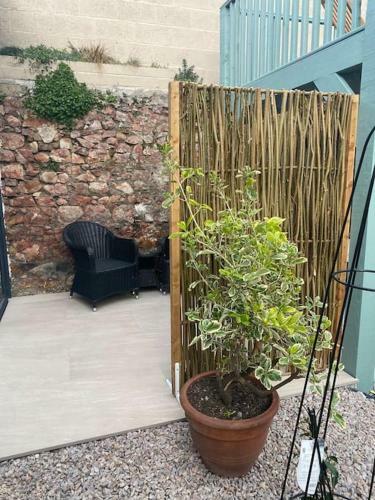 Hugo Mews. Bright Studio Apartment.