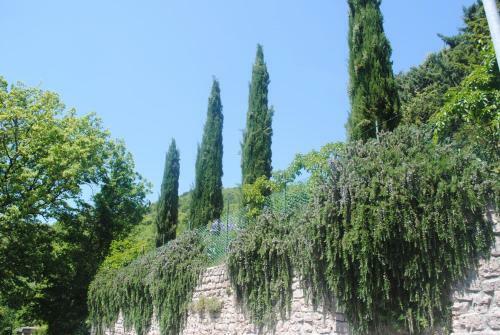 Villa Le Casaline