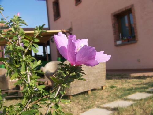 Agroturismo Agriturismo La Nocciolina