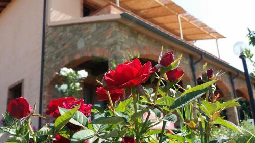 Agroturismo Agriturismo La Nocciolina