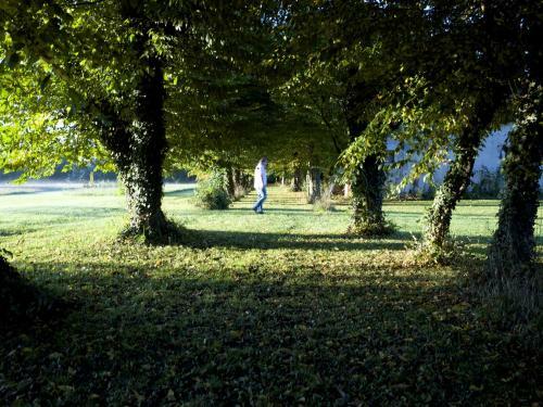 Bed & Breakfast Ch�teau Des Edelins