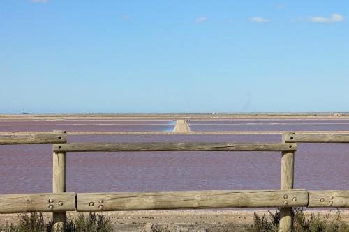 Bed & Breakfast Un Nid En Camargue