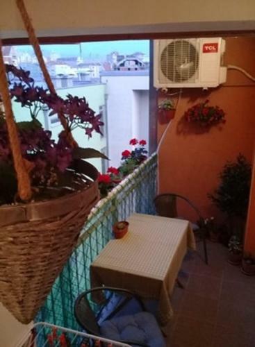 Dado Apartment