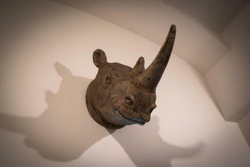 Apartamento Rhino Studios