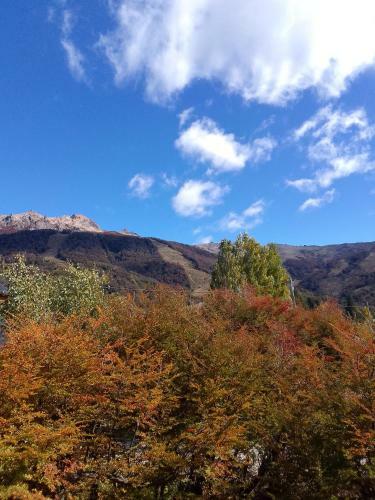 Apartamento Vf Catedral