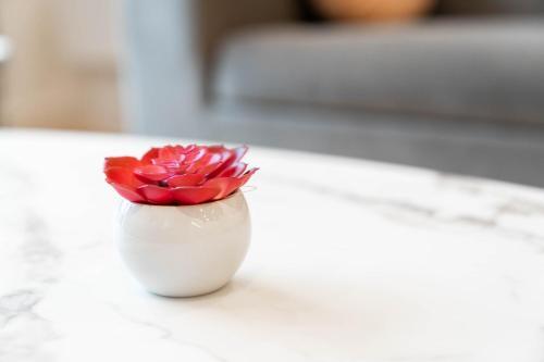 ? Candy-chic 1 Bedroom Apartment - City Centre ?