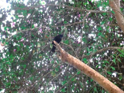 Hotel M�ndala Monta�ita