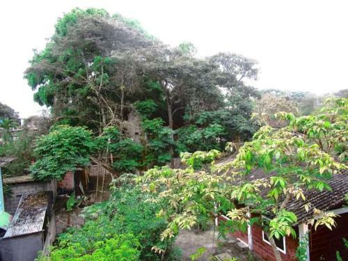 Hotel M�ndala Monta�ita