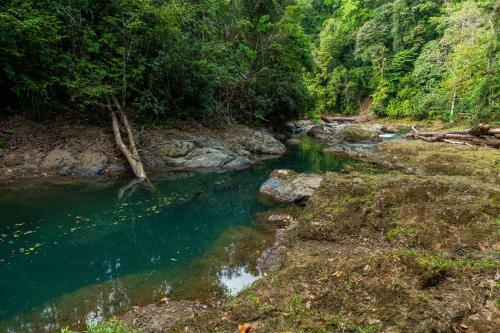 Drake Bay River View - Glamping Eco Lodge