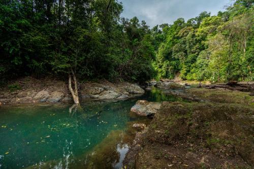 Drake Bay River View - Glamping Eco Lodge