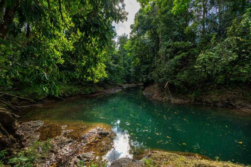 Drake Bay River View - Glamping Eco Lodge