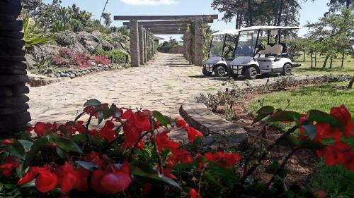 Hotel Gondar Hills Resort