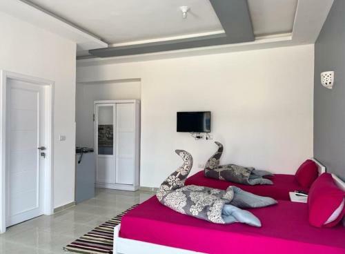 Bed & Breakfast Canyon Villa