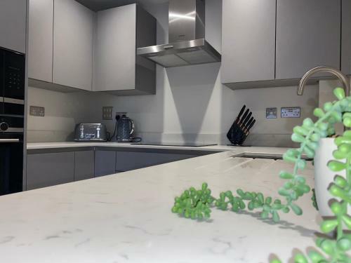 Apartamento Roomotel - Oakview Moseley