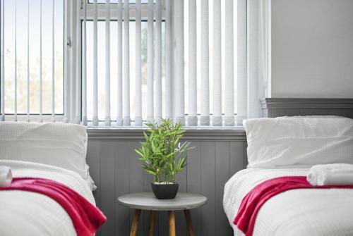 Hostal Wray And Whyte Stays