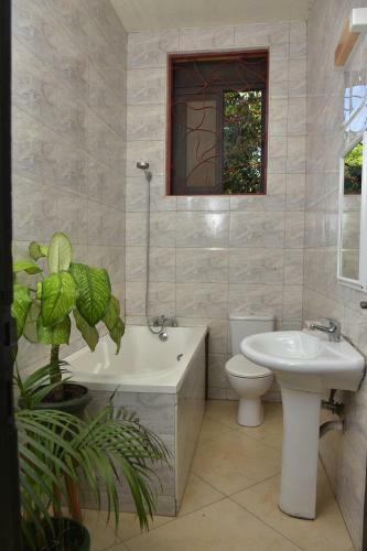 Bed & Breakfast Unique Rooms In An Authentic Part Of Kampala