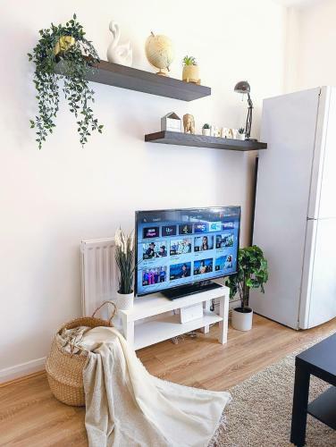 Cozy Luxury 1 Bedroom Apartment With Parking