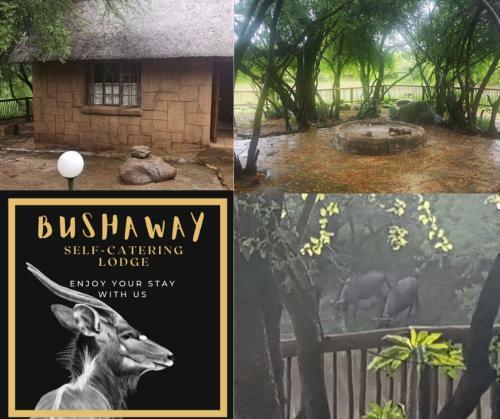 Bosveld Bruilof & Bushaway Lodge
