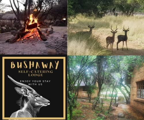 Bosveld Bruilof & Bushaway Lodge