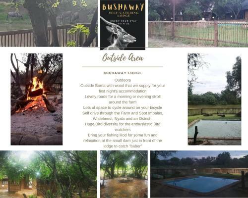 Bosveld Bruilof & Bushaway Lodge