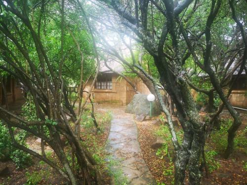 Bosveld Bruilof & Bushaway Lodge