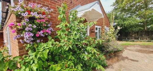 Sherwood Bungalow 3 Bedroom Entire Property