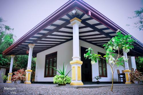 Nelum Villa