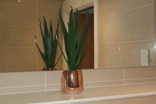 Berks Luxury Serviced Apartments