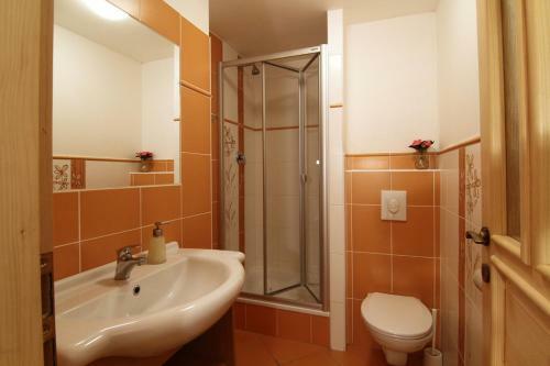 Hostal Penzion Pod Pralesem