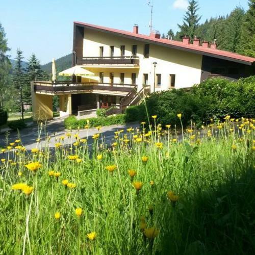 Hotel Babsk�