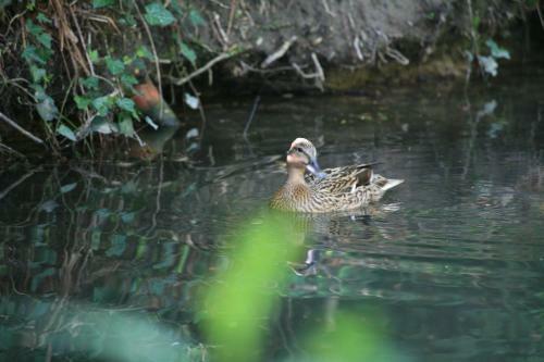 Bed & Breakfast Ch�teau Le Briou D'autry