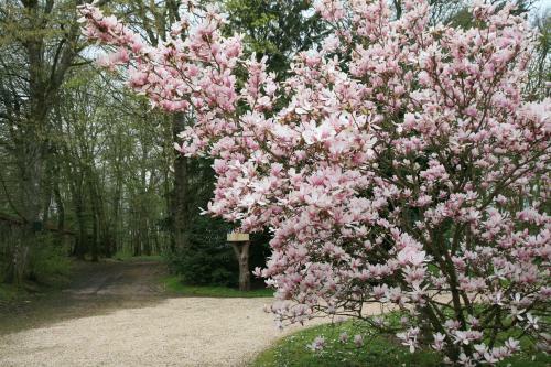 Bed & Breakfast Ch�teau Le Briou D'autry