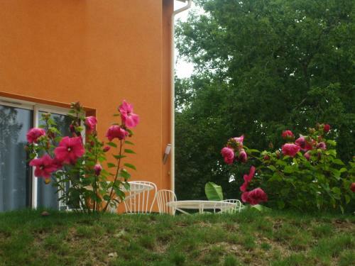 Bed & Breakfast La Colline Des Endrevies