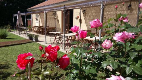Hotel H�tel Montespan