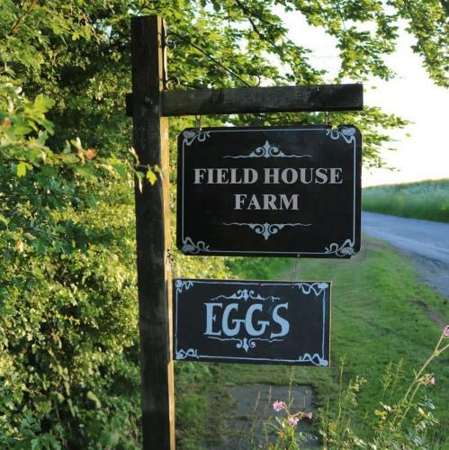 Posada Viking Bell Glamping, North Frodingham