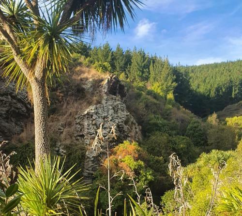 Apartamento Rahotu Sanctuary