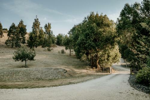 Apartamento Rahotu Sanctuary