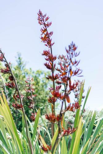 Apartamento Rahotu Sanctuary