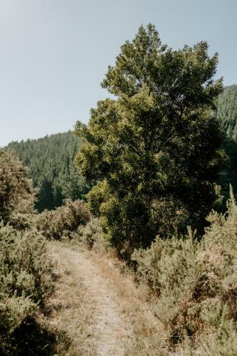 Apartamento Rahotu Sanctuary