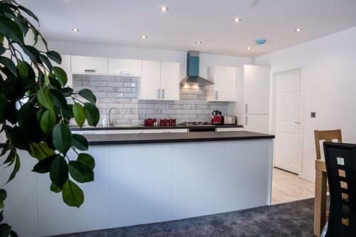Fantastic Large House With Private Parking