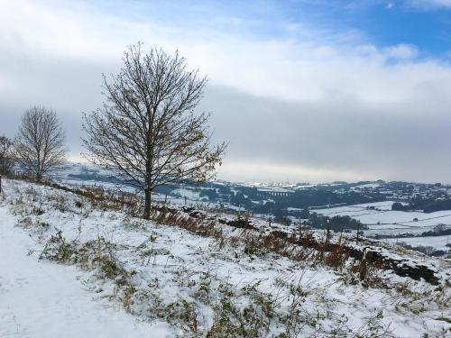 Butterfly Cottage, Bradford