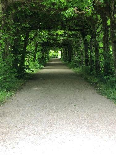 Apartamento Ferienwohnung Villa L�we