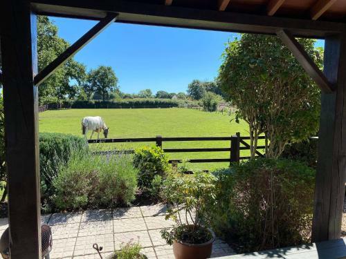 Agroturismo Marsh Farm